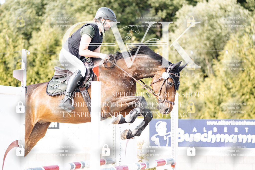 CK906282 | Turnierfotografie Pferdefotografie Trier Rheinland-Pfalz Pferdesport Reitsport Tierfotografie Sportfotografie Pferdevideo Pferdevideografie Equestrianvideography equestrianphotography  - Realisiert mit Pictrs.com