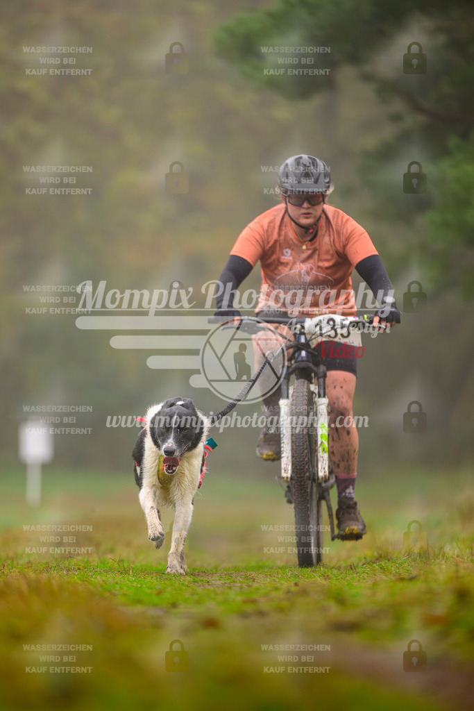 MompixPhotography_Bischwiller2025_Bike-51 | mompixphotography