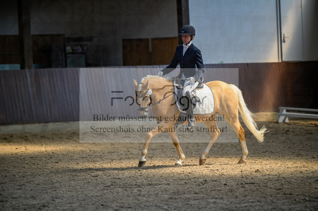 Reitturnier Voxtrup | Entdecke hochwertige Reitturnierfotos von Foto Oger. Professionell, emotional und authentisch – jetzt Lieblingsmomente im Shop bestellen.Deutschlandweite Turnierfotografie. - Realisiert mit Pictrs.com
