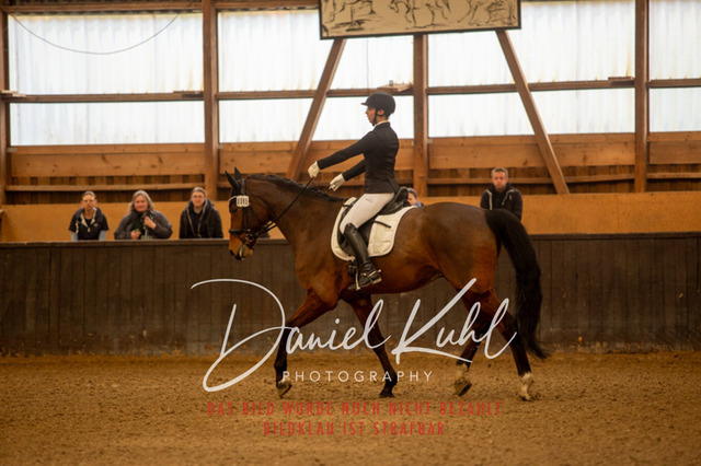 IMG_0004 | Turniersportfotografie; Pferdefotografie; Dressurfotografie