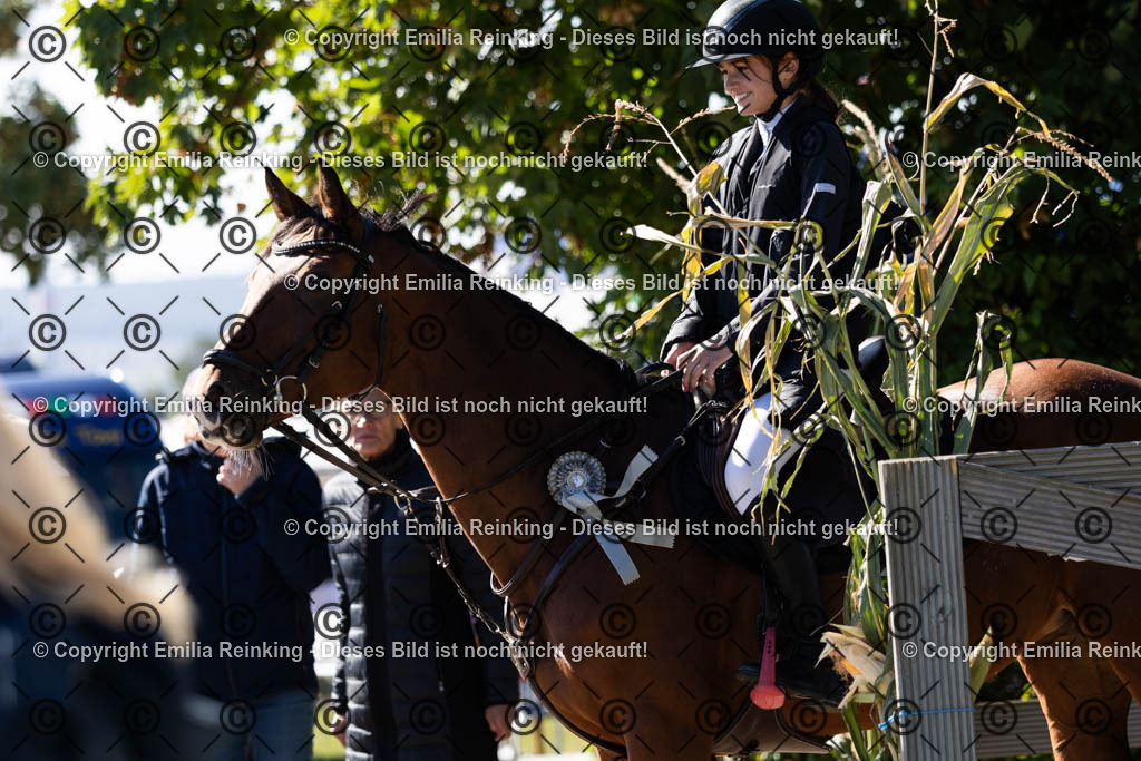 CL5A1393 | Emilia Reinking Fotografie - Realisiert mit Pictrs.com