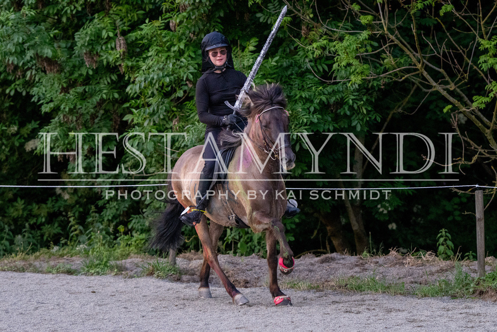 KAI07507 | Ihr sucht einen Fotografen für eure nächste OSI? Ich begleite auch euer Turnier für Islandpferde fotografisch.  - Realisiert mit Pictrs.com