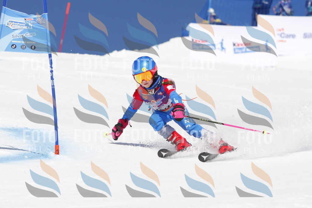 _W1G1962 | holidayphoto