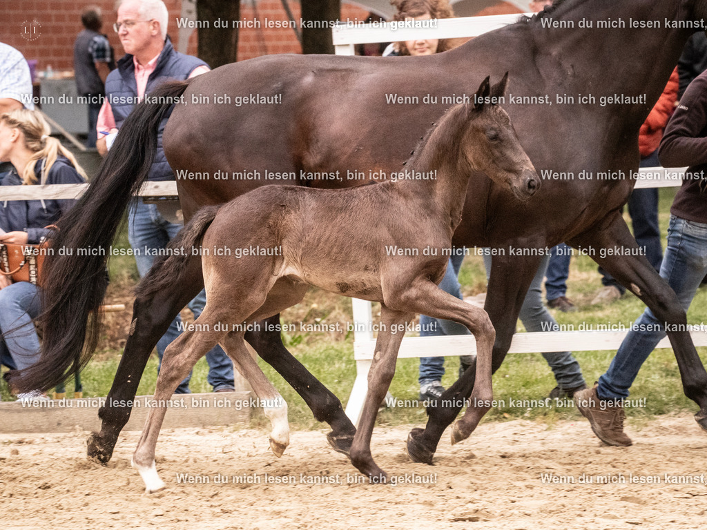 A10I5377 | photographylinaismer - Realisiert mit Pictrs.com