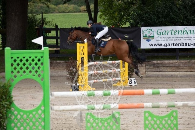 2B4A1542 | pixelfaenger - Realisiert mit Pictrs.com