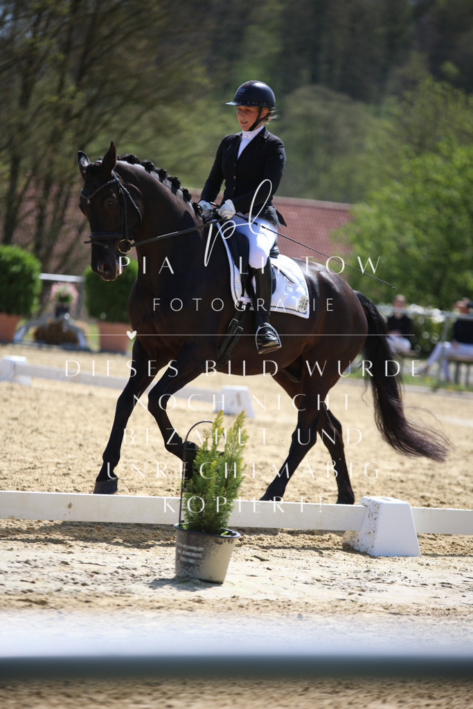 IMGT7149 | pl-fotografie