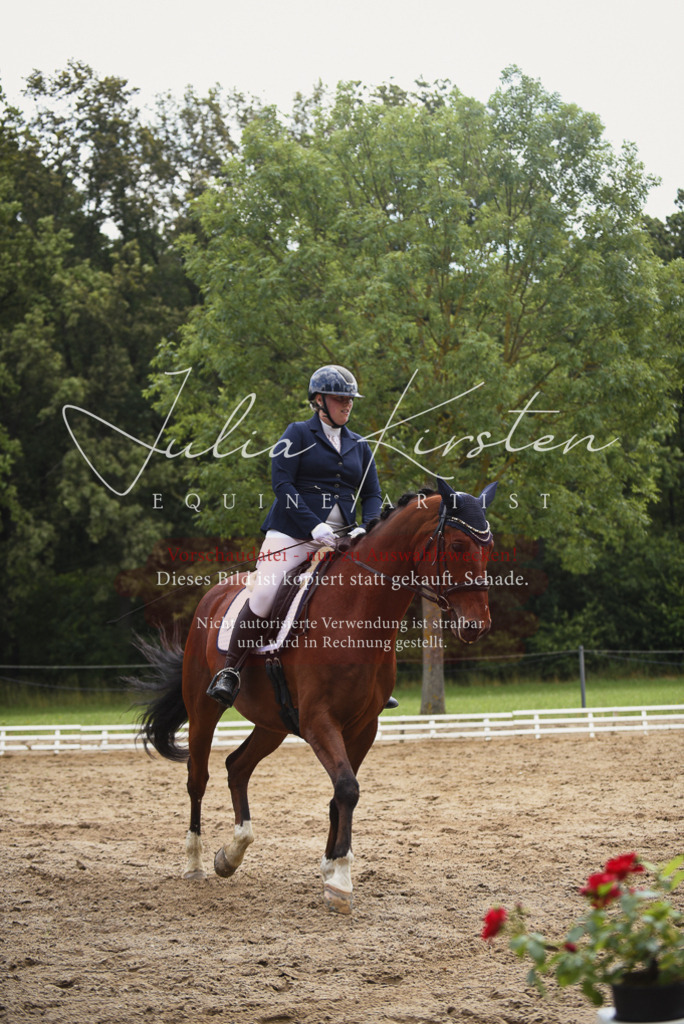 DSC_0825 | Pferde- und Turnierfotografie in Westsachsen. Pferdeportraits, Auftragszeichnungen und intuitive Kunst.