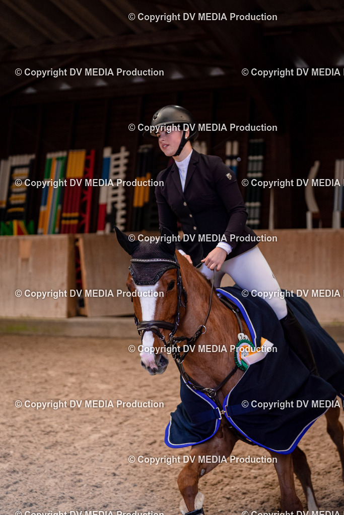 Springen Tag 1-492 | dv-media-shop - Realisiert mit Pictrs.com