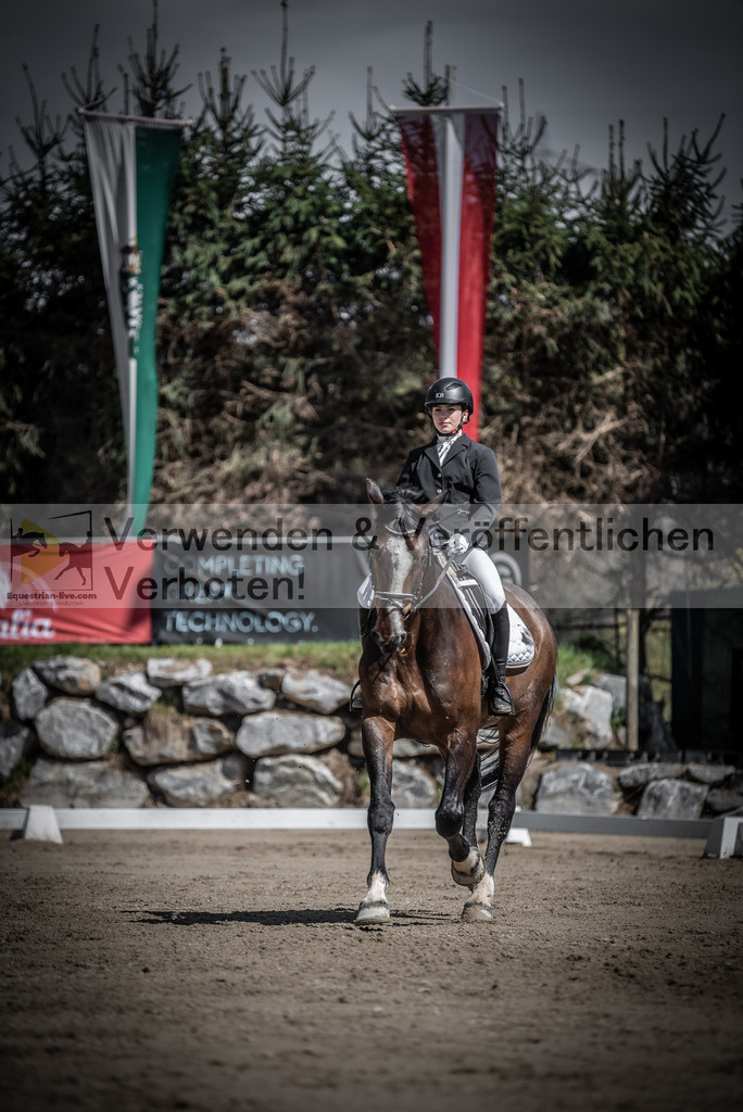 DSC_0390 | equestrian-live-com