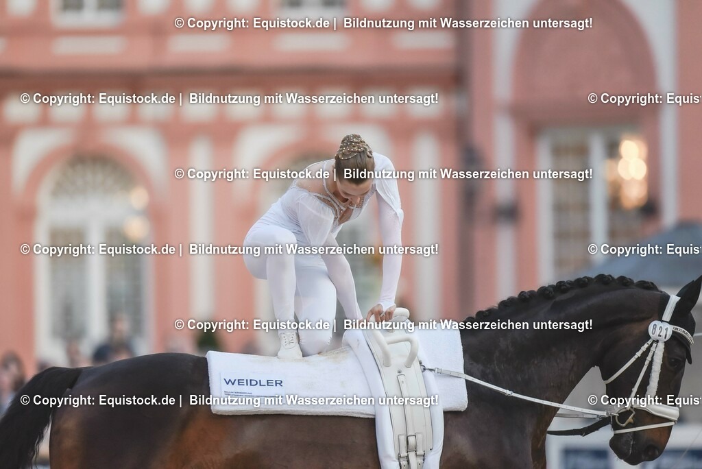 20230527_Voltigieren_NASPA_Flutlicht_0143 | equistock