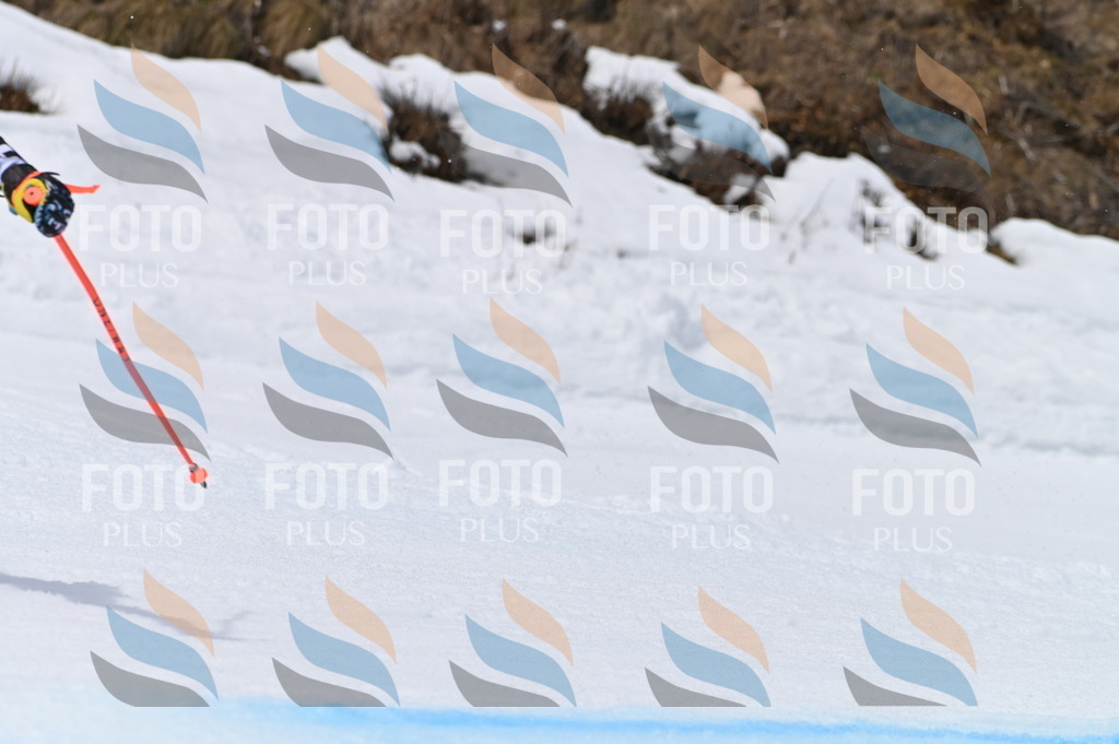 BGV_4719 | holidayphoto