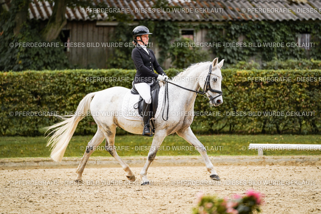 DSC07758 | Pferdegrafie