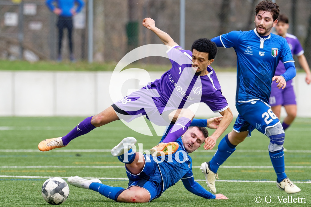 DSC_7678 | Velletri Photo