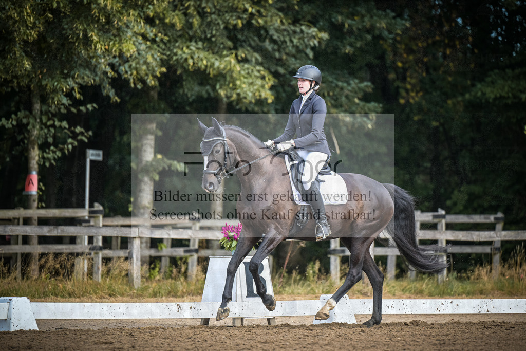 DOS_2022 | Entdecke hochwertige Reitturnierfotos von Foto Oger. Professionell, emotional und authentisch – jetzt Lieblingsmomente im Shop bestellen.Deutschlandweite Turnierfotografie. - Realisiert mit Pictrs.com