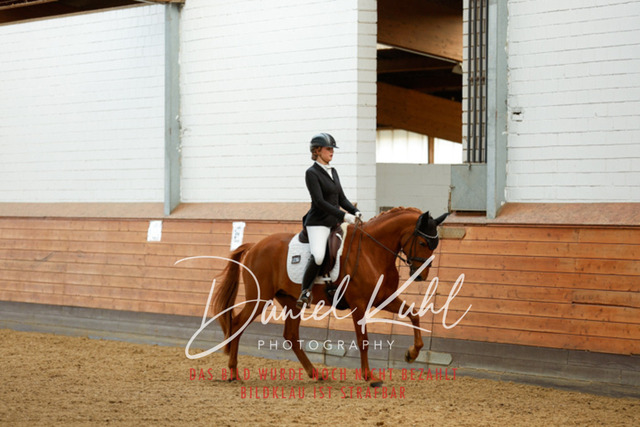 _62_7043 | Turniersportfotografie; Pferdefotografie; Dressurfotografie