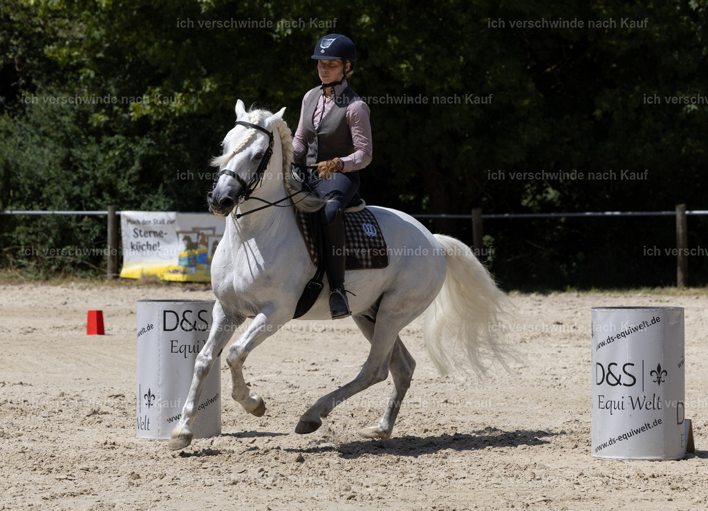 WM_Speed_28_KerstinBernhardt-8 | working equitationturnier fotograf videograf stoibphotography marixx film working equitation deutschland reitsport turnierfotografie eventfotografie equestrian events