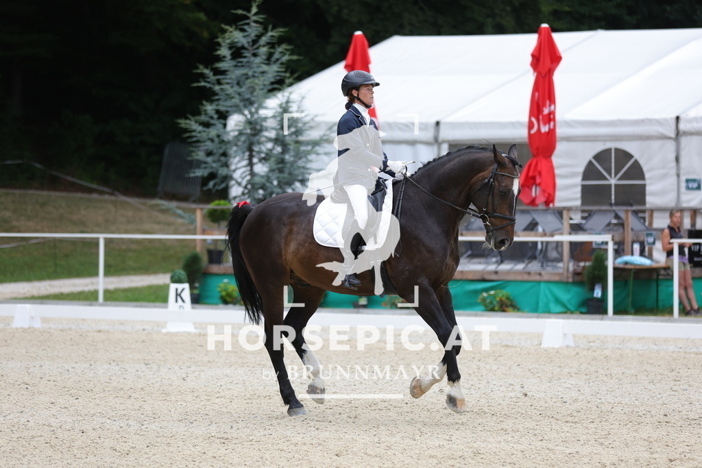 0P6A4575 | Willkommen bei Brunnmayr - Design & Fotografie – Ihrem Spezialisten für Reitturniere und Pferdeveranstaltungen in Oberösterreich, Salzburg und Bayern! Seit über 17 Jahren sind wir leidenschaftlich dabei.
