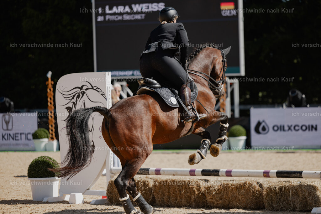 Lara_21_FHC2025-26 | working equitationturnier fotograf videograf stoibphotography marixx film working equitation deutschland reitsport turnierfotografie eventfotografie equestrian events