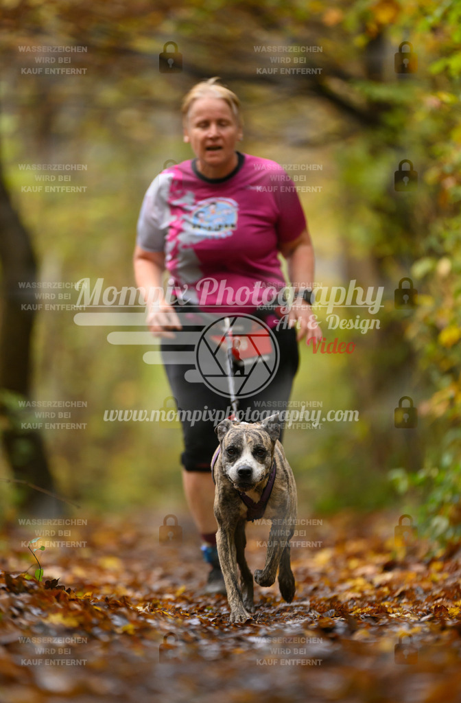 MompixPhotography_CD7S_DI_CCL-164 | mompixphotography