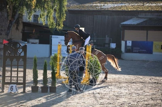 2B4A0037 | pixelfaenger - Realisiert mit Pictrs.com