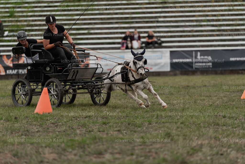 Showprogramm-512 | working equitationturnier fotograf videograf stoibphotography marixx film working equitation deutschland reitsport turnierfotografie eventfotografie equestrian events
