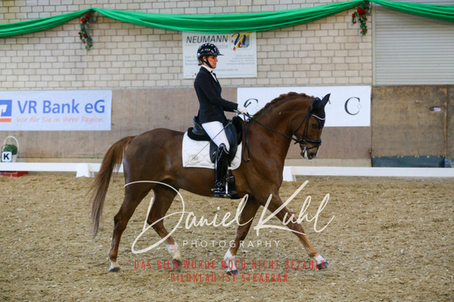 IMG_2932 | Turnierfotos kaufen im Webshop von Daniel Kuhl Photography – entdecke professionelle Reitsportfotos aus Turnieren & Events. Hochwertige Turnierbilder online bestellen & sichern. Jetzt Fotos von Reitsportturnieren kaufen!