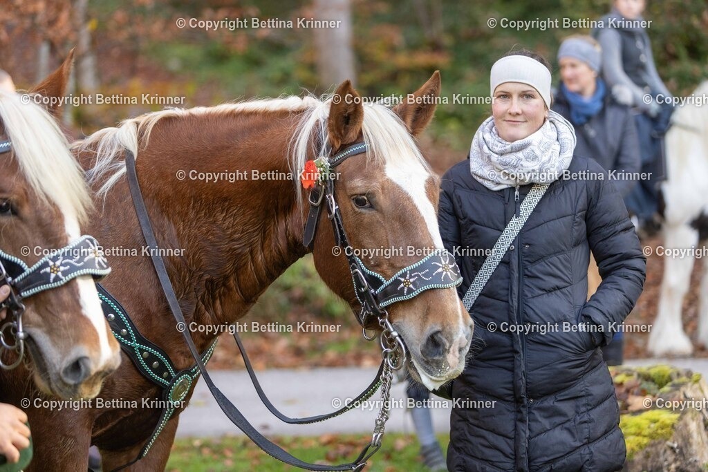 LL24-261 | foto-bettina-krinner - Realisiert mit Pictrs.com