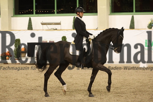 Gut Ising_2023_Prfg.Nr.03_Intermediaire II_Matthias Bouten_Pramwadhof_s Bellagio (33) | Alle Fotos der Reiterjournal Fotografin Doris Matthaes im Reiterjournal Online-Fotoshop. - Realisiert mit Pictrs.com