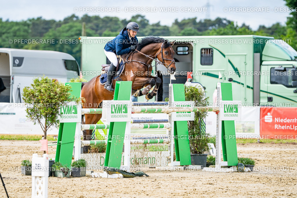 DSC04034 | Pferdegrafie