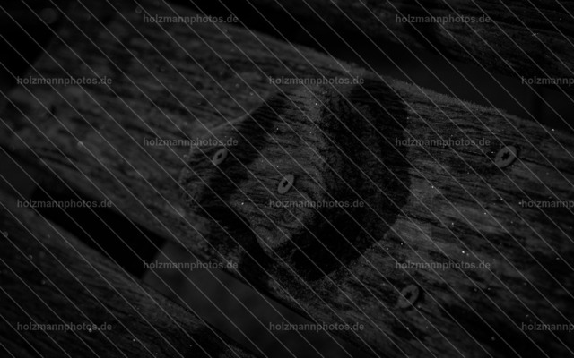 IMG_8797 | Fotograf Leipzig für Hochzeiten, Familienfeste & Porträts. Persönlich, ehrlich & echt – Emotion im Fokus. Jetzt Fotoshooting bei Holzmannphotos buchen!