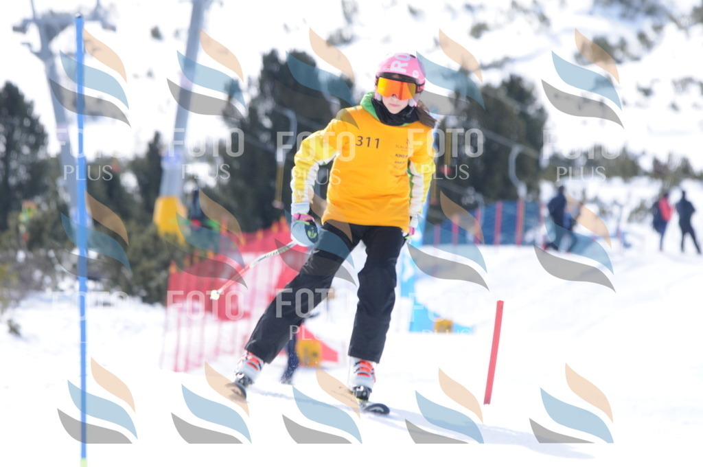 C9181 | holidayphoto