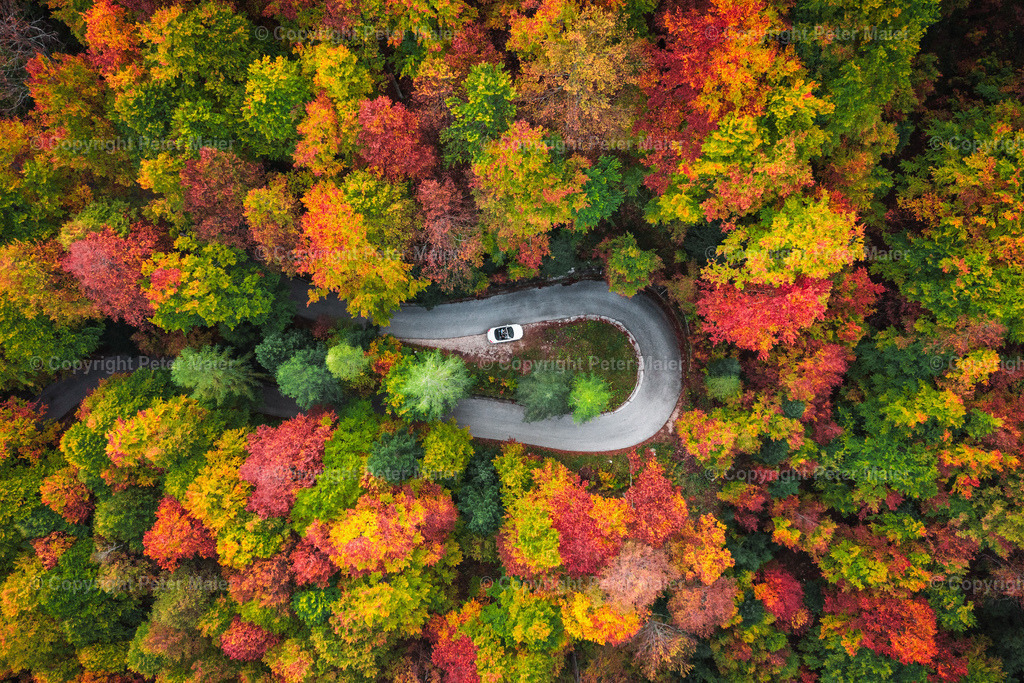 Sortiert_Foto-21663 | piet_flosse