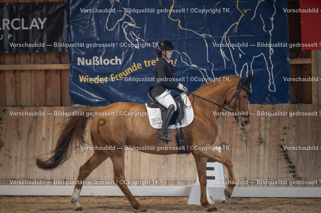 _D5A4745 | Emotionale Pferde- & People-Fotografie rund um Heidelberg, Leimen & Umgebung. Natürliche Fotos von Pferd, Mensch & Familie. Jetzt Termin sichern!