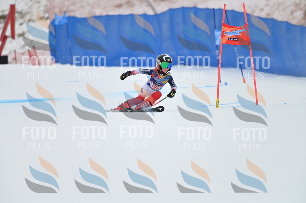 BGV_9984 | holidayphoto