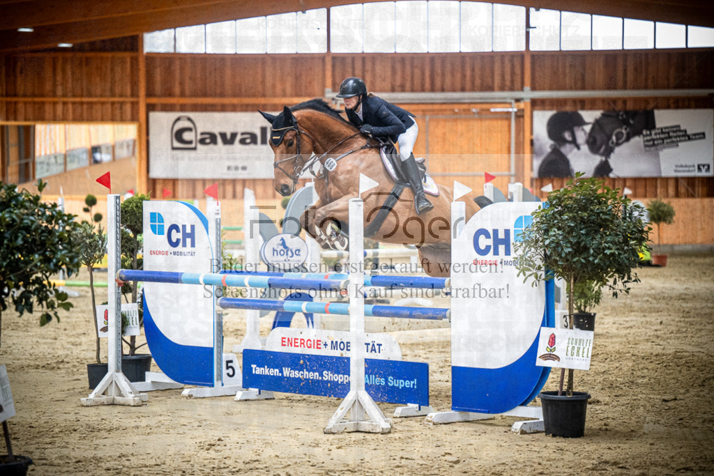 DOS_1501 | Entdecke hochwertige Reitturnierfotos von Foto Oger. Professionell, emotional und authentisch – jetzt Lieblingsmomente im Shop bestellen.Deutschlandweite Turnierfotografie. - Realisiert mit Pictrs.com