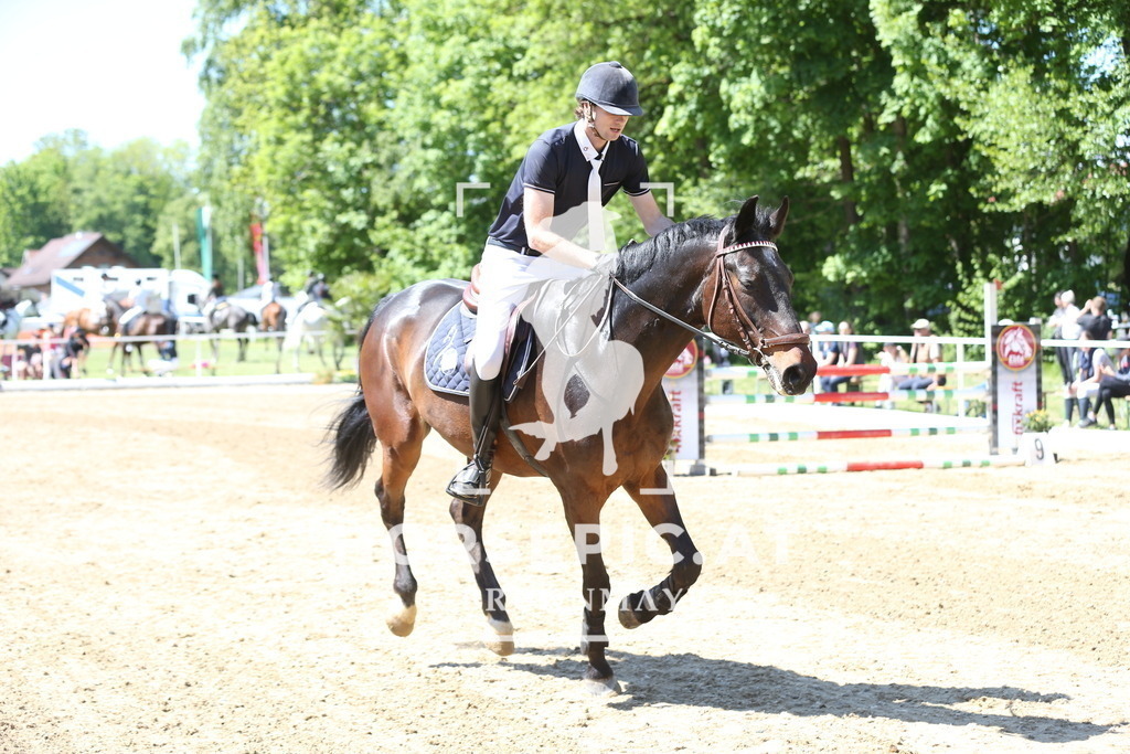 DL2Q1816 | Willkommen bei Brunnmayr - Design & Fotografie – Ihrem Spezialisten für Reitturniere und Pferdeveranstaltungen in Oberösterreich, Salzburg und Bayern! Seit über 17 Jahren sind wir leidenschaftlich dabei.
