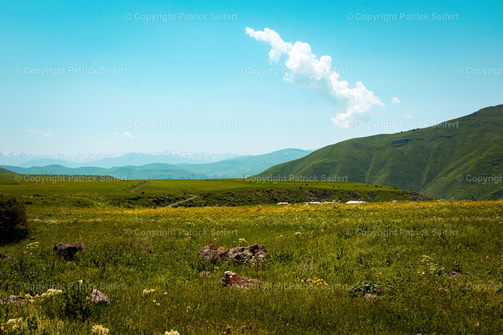 PSF_0518 | Bestellen Sie sich tolle Natur und Landschaftsfotos für ihre Wand Zuhause. Aus dem Allgäu, Harz, Lüneburger Heide, Nordsee Küste oder Städte wie Hamburg, Bremen, Bremerhaven. Auf Acryl, Leinwand, Forex oder Alu Dybond. - Realisiert mit Pictrs.com