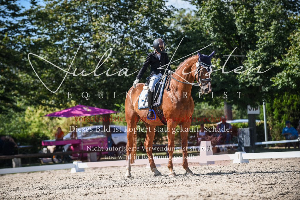 DSC_9536 | Pferde- und Turnierfotografie in Westsachsen. Pferdeportraits, Auftragszeichnungen und intuitive Kunst.