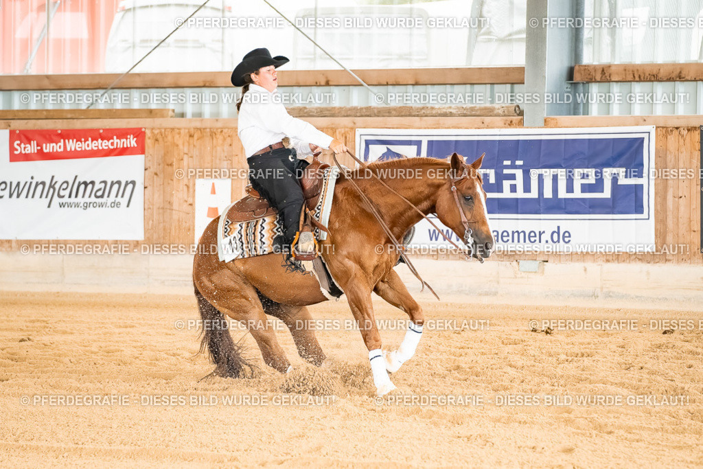 DSC02459 | Pferdegrafie