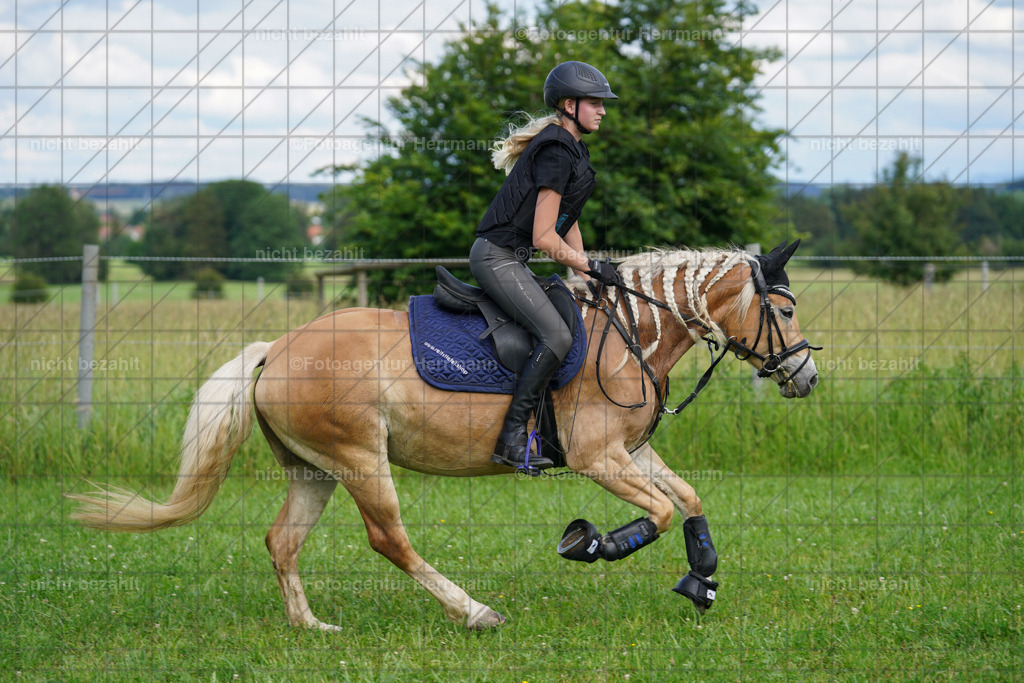 20240622-FAH07946 | Turnierfotografen Bayern, Reitsportbilder aus dem Geländekurs mit Felix Etzel auf dem Gut Waitzacker 2024