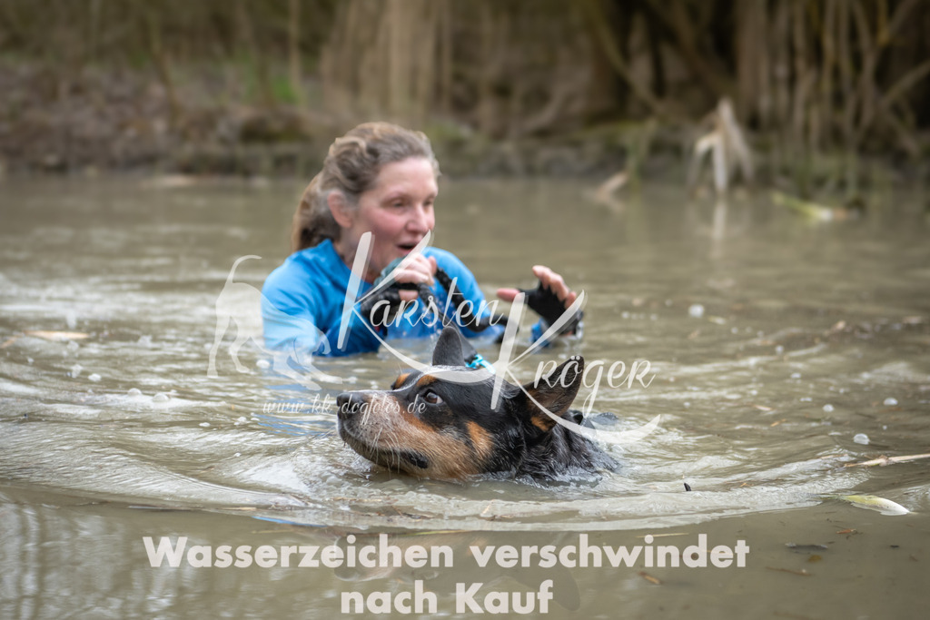 1519_ZZ92797 | kk-dogfotos