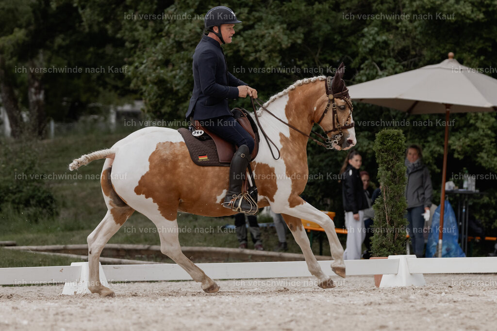 WE_DR_Stoib_344_PI2025_142 | Pferd International München 2025