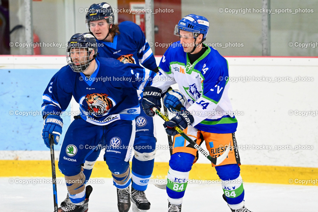  EC Tigers Paternion vs. EC Virgen 8.1.2022 | #2 Pranjic Marko, #84 Hertscheg Bernhard
