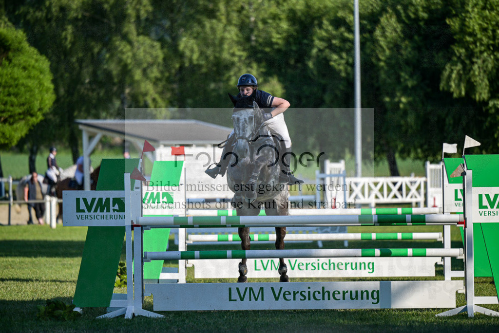 Reitturnier Voxtrup | Entdecke hochwertige Reitturnierfotos von Foto Oger. Professionell, emotional und authentisch – jetzt Lieblingsmomente im Shop bestellen.Deutschlandweite Turnierfotografie. - Realisiert mit Pictrs.com
