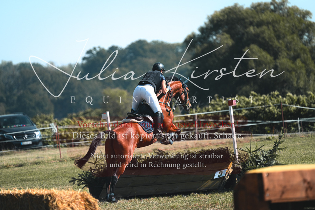DSC_7871 | Pferde- und Turnierfotografie in Westsachsen. Pferdeportraits, Auftragszeichnungen und intuitive Kunst.