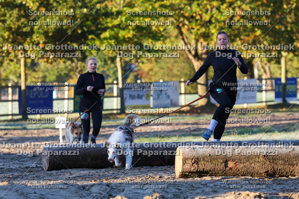 Dog Paparazzi - Strongdog 10-25-470 | Dog Paparazzi Jeanette Grottendiek Fotografie & Videografie - Realisiert mit Pictrs.com