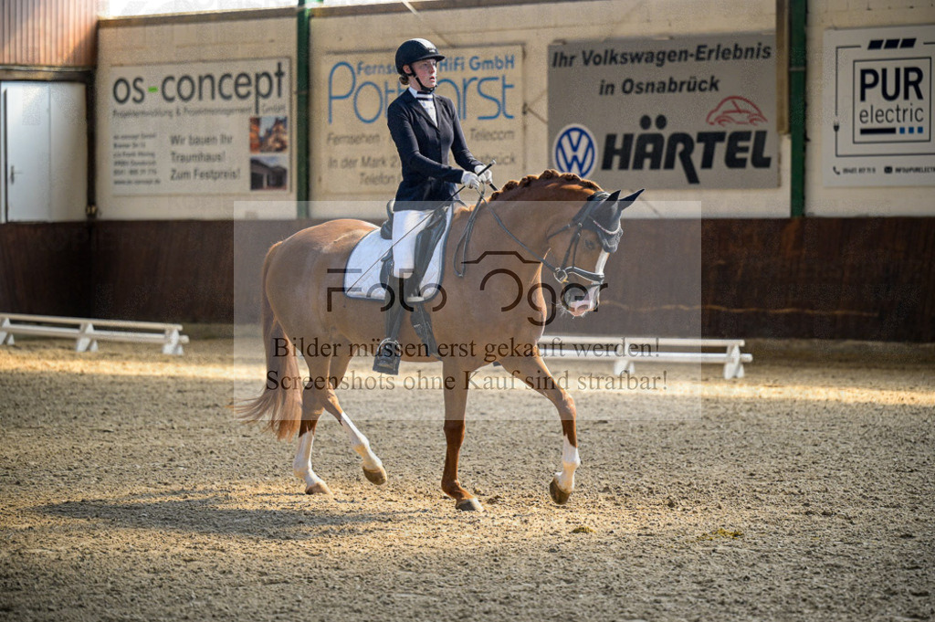 Reitturnier Voxtrup | Entdecke hochwertige Reitturnierfotos von Foto Oger. Professionell, emotional und authentisch – jetzt Lieblingsmomente im Shop bestellen.Deutschlandweite Turnierfotografie. - Realisiert mit Pictrs.com