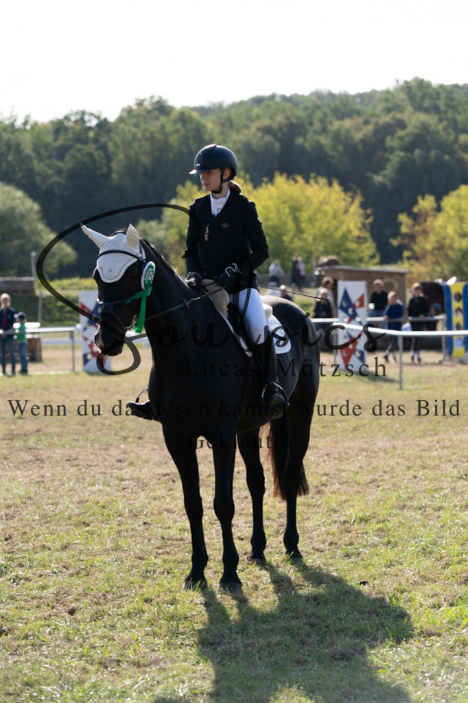 A7V08307 | Pferdefotograf