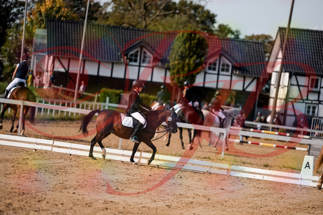 2026_10_03_Siefer-Hof_122039_Z63_43566612 | Professionelle Reitsport-, Turnier- und Eventfotografie von Robert Broda. Galerien mit ausgewählten und bearbeiteten Bildern direkt online ansehen und bestellen.