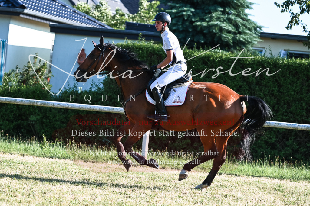 DSC_2683 | Pferde- und Turnierfotografie in Westsachsen. Pferdeportraits, Auftragszeichnungen und intuitive Kunst.